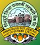 sindhudccbank